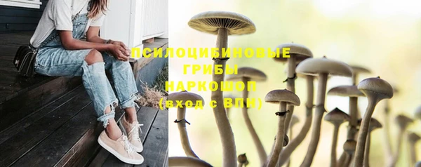 наркотики Новодвинск