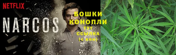 наркотики Новодвинск