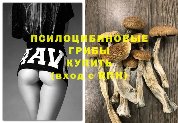 наркотики Новодвинск